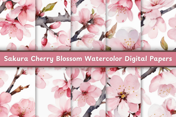 Sakura Cherry Blossom Watercolor: A Versatile Design Asset
