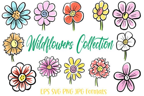 Wildflowers Flower Illustration Floral: A Designer's Spring Asset